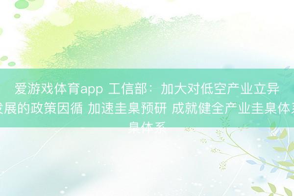 爱游戏体育app 工信部：加大对低空产业立异发展的政策因循 加速圭臬预研 成就健全产业圭臬体系