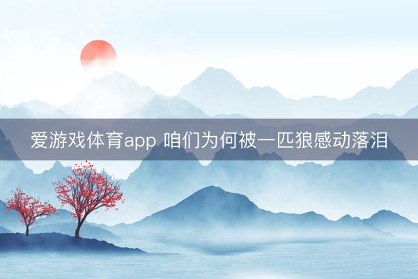 爱游戏体育app 咱们为何被一匹狼感动落泪