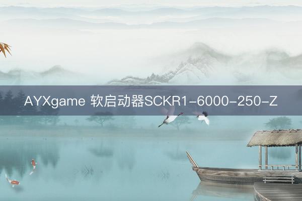 AYXgame 软启动器SCKR1-6000-250-Z