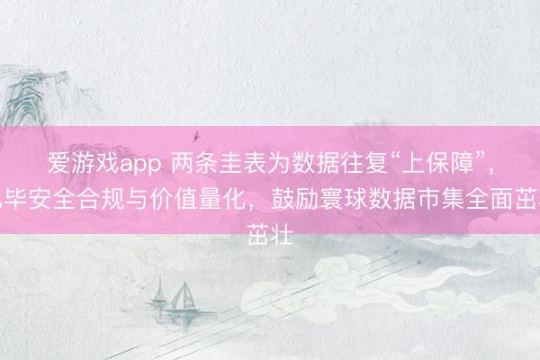 爱游戏app 两条圭表为数据往复“上保障”，已毕安全合规与价值量化，鼓励寰球数据市集全面茁壮