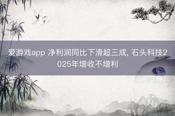 爱游戏app 净利润同比下滑超三成, 石头科技2025年增收不增利
