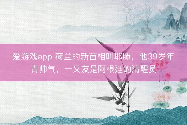 爱游戏app 荷兰的新首相叫耶滕，他39岁年青帅气，一又友是阿根廷的清醒员