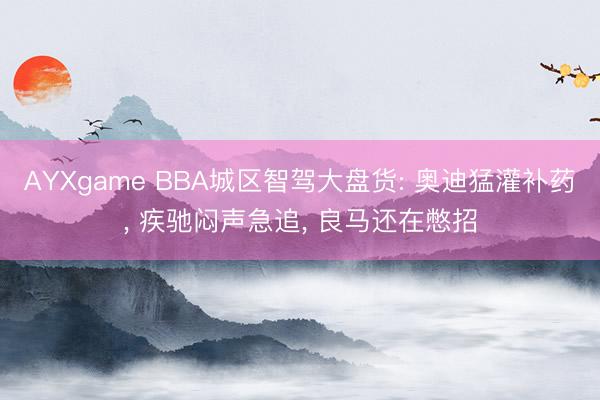 AYXgame BBA城区智驾大盘货: 奥迪猛灌补药, 疾驰闷声急追, 良马还在憋招