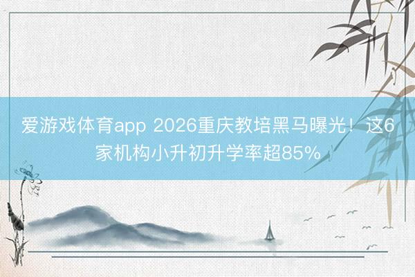 爱游戏体育app 2026重庆教培黑马曝光！这6家机构小升初升学率超85%