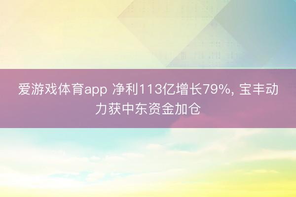 爱游戏体育app 净利113亿增长79%， 宝丰动力获中东资金加仓