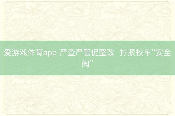 爱游戏体育app 严查严管促整改  拧紧校车“安全阀”