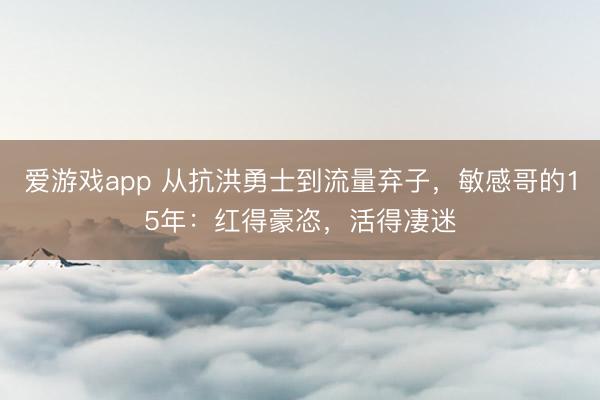爱游戏app 从抗洪勇士到流量弃子，敏感哥的15年：红得豪恣，活得凄迷