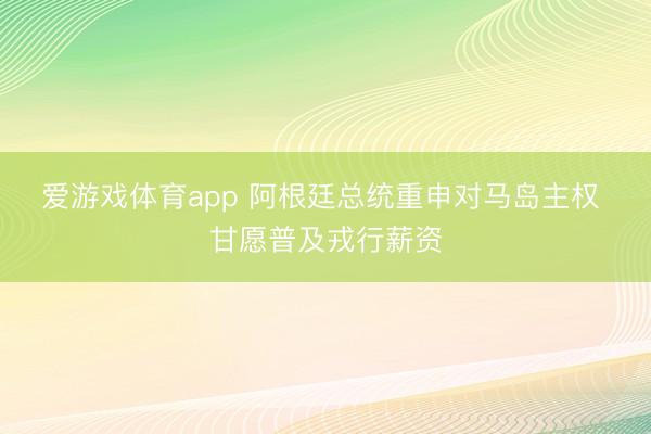 爱游戏体育app 阿根廷总统重申对马岛主权 甘愿普及戎行薪资
