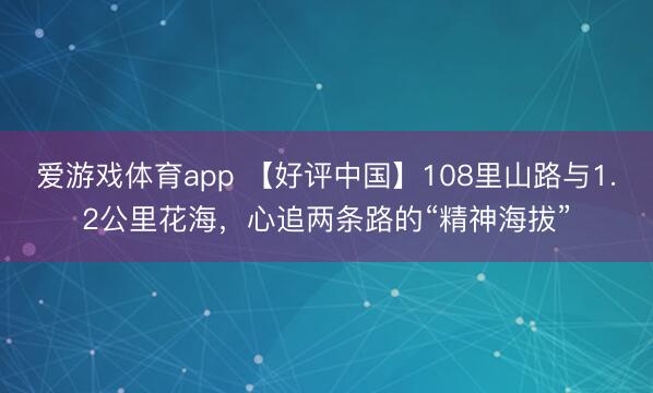 爱游戏体育app 【好评中国】108里山路与1.2公里花海，心追两条路的“精神海拔”
