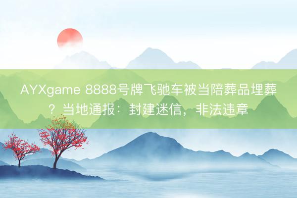 AYXgame 8888号牌飞驰车被当陪葬品埋葬?当地通报:封建迷信,非法违章