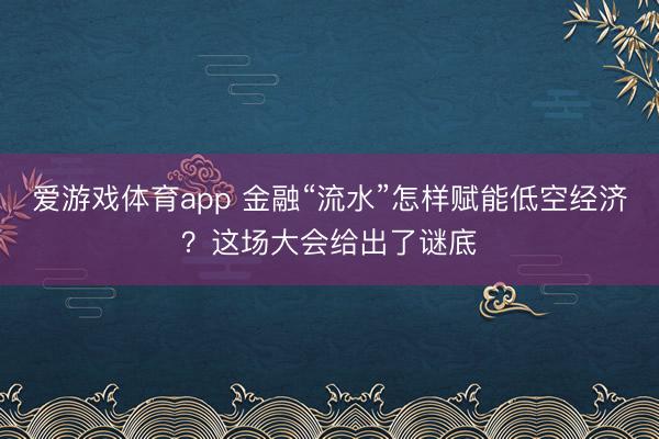 爱游戏体育app 金融“流水”怎样赋能低空经济?这场大会给出了谜底