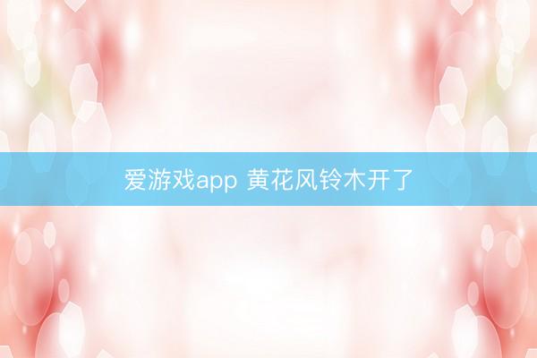 爱游戏app 黄花风铃木开了
