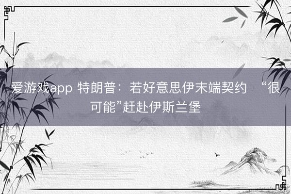 爱游戏app 特朗普：若好意思伊末端契约　“很可能”赶赴伊斯兰堡