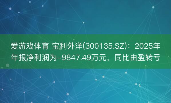 爱游戏体育 宝利外洋(300135.SZ)：2025年年报净利润为-9847.49万元，同比由盈转亏