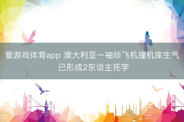爱游戏体育app 澳大利亚一袖珍飞机撞机库生气 已形成2东谈主死字