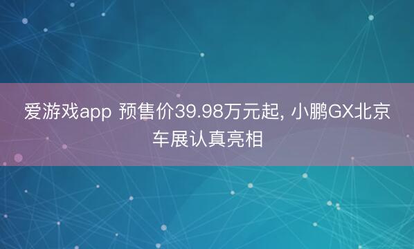 爱游戏app 预售价39.98万元起, 小鹏GX北京车展认真亮相