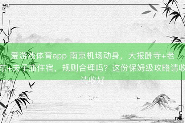 爱游戏体育app 南京机场动身，大报酬寺+老门东+夫子庙住宿，规则合理吗？这份保姆级攻略请收好