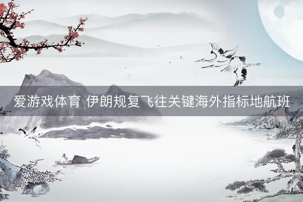 爱游戏体育 伊朗规复飞往关键海外指标地航班