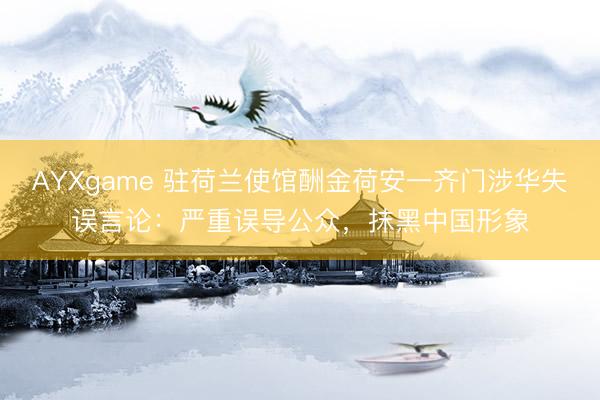 AYXgame 驻荷兰使馆酬金荷安一齐门涉华失误言论：严重误导公众，抹黑中国形象