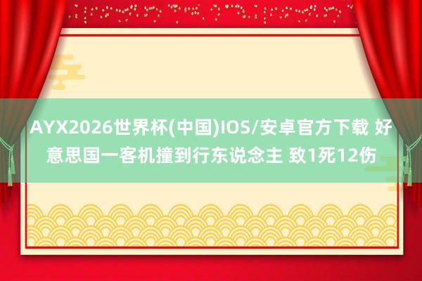 AYX2026世界杯(中国)IOS/安卓官方下载 好意思国一客机撞到行东说念主 致1死12伤