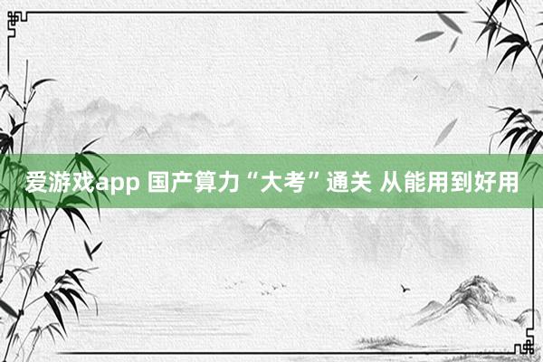 爱游戏app 国产算力“大考”通关 从能用到好用
