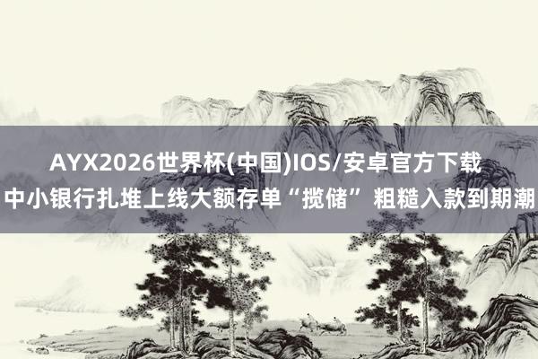 AYX2026世界杯(中国)IOS/安卓官方下载 中小银行扎堆上线大额存单“揽储” 粗糙入款到期潮