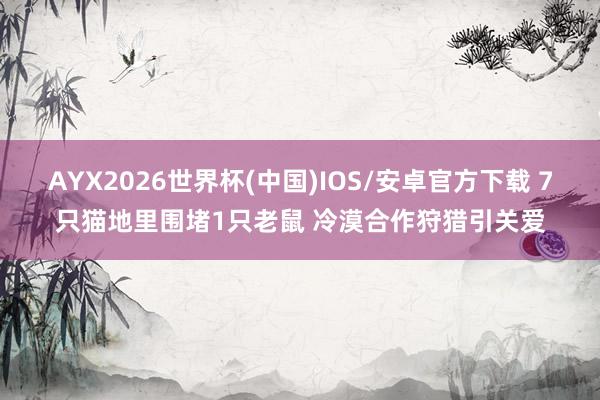 AYX2026世界杯(中国)IOS/安卓官方下载 7只猫地里围堵1只老鼠 冷漠合作狩猎引关爱