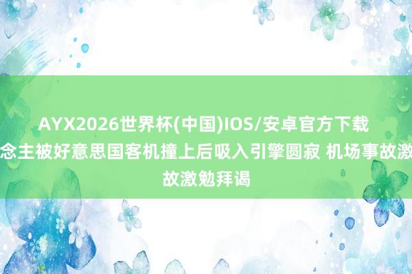 AYX2026世界杯(中国)IOS/安卓官方下载 行东说念主被好意思国客机撞上后吸入引擎圆寂 机场事故激勉拜谒