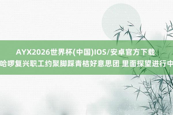AYX2026世界杯(中国)IOS/安卓官方下载 哈啰复兴职工约聚脚踩青桔好意思团 里面探望进行中