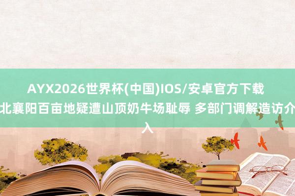 AYX2026世界杯(中国)IOS/安卓官方下载 湖北襄阳百亩地疑遭山顶奶牛场耻辱 多部门调解造访介入