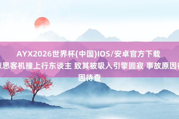 AYX2026世界杯(中国)IOS/安卓官方下载 好意思客机撞上行东谈主 致其被吸入引擎圆寂 事故原因待查