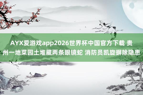 AYX爱游戏app2026世界杯中国官方下载 贵州一地菜园土堆藏两条眼镜蛇 消防员凯旋摒除隐患