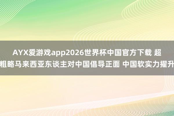 AYX爱游戏app2026世界杯中国官方下载 超粗略马来西亚东谈主对中国倡导正面 中国软实力擢升