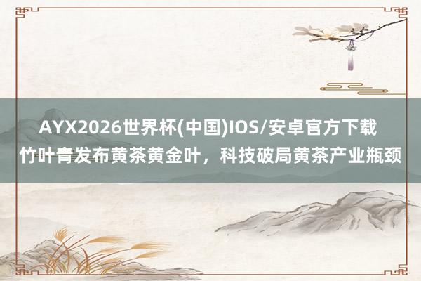 AYX2026世界杯(中国)IOS/安卓官方下载 竹叶青发布黄茶黄金叶，科技破局黄茶产业瓶颈