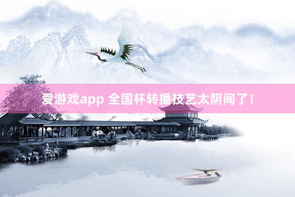 爱游戏app 全国杯转播技艺太阴间了！