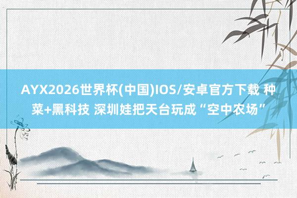 AYX2026世界杯(中国)IOS/安卓官方下载 种菜+黑科技 深圳娃把天台玩成“空中农场”