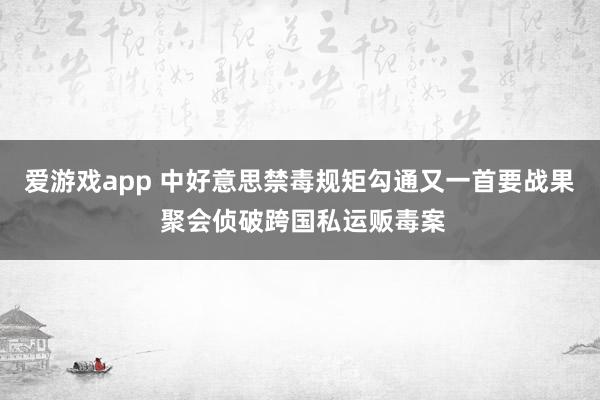 爱游戏app 中好意思禁毒规矩勾通又一首要战果 聚会侦破跨国私运贩毒案