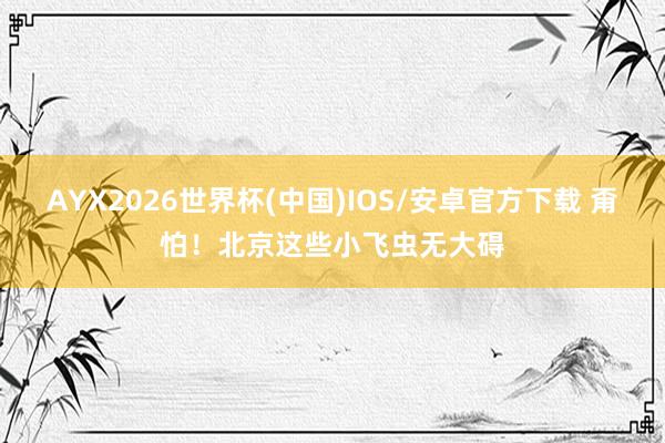 AYX2026世界杯(中国)IOS/安卓官方下载 甭怕！北京这些小飞虫无大碍