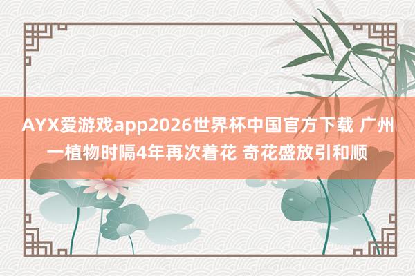 AYX爱游戏app2026世界杯中国官方下载 广州一植物时隔4年再次着花 奇花盛放引和顺