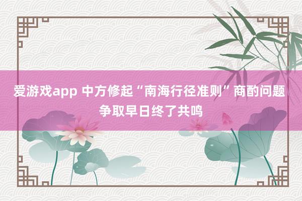 爱游戏app 中方修起“南海行径准则”商酌问题 争取早日终了共鸣