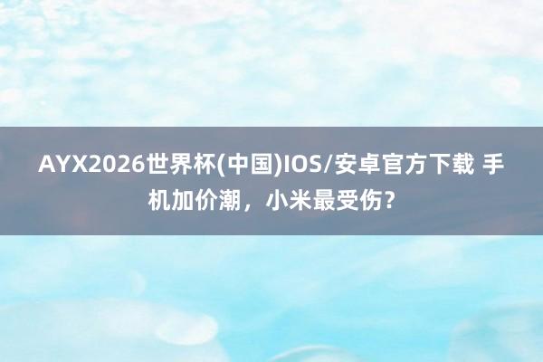 AYX2026世界杯(中国)IOS/安卓官方下载 手机加价潮，小米最受伤？