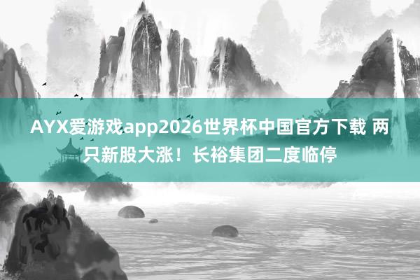 AYX爱游戏app2026世界杯中国官方下载 两只新股大涨！长裕集团二度临停