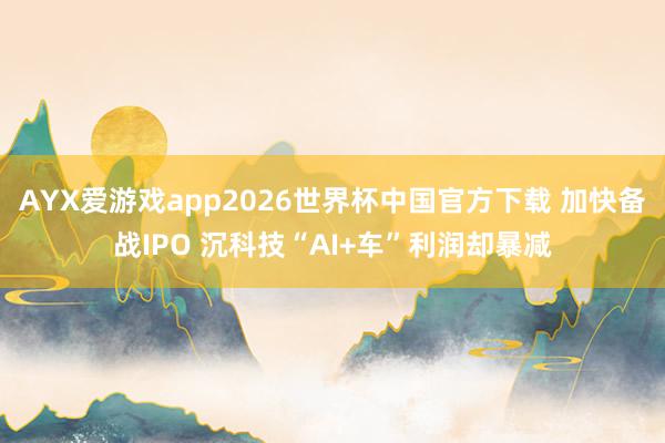 AYX爱游戏app2026世界杯中国官方下载 加快备战IPO 沉科技“AI+车”利润却暴减