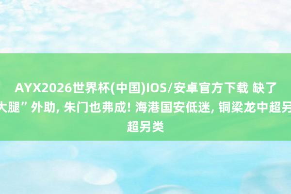 AYX2026世界杯(中国)IOS/安卓官方下载 缺了“大腿”外助, 朱门也弗成! 海港国安低迷, 铜梁龙中超另类