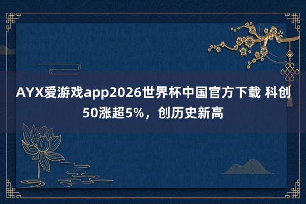 AYX爱游戏app2026世界杯中国官方下载 科创50涨超5%，创历史新高