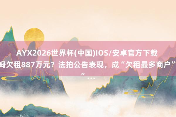 AYX2026世界杯(中国)IOS/安卓官方下载 山姆欠租887万元？法拍公告表现，成“欠租最多商户”…