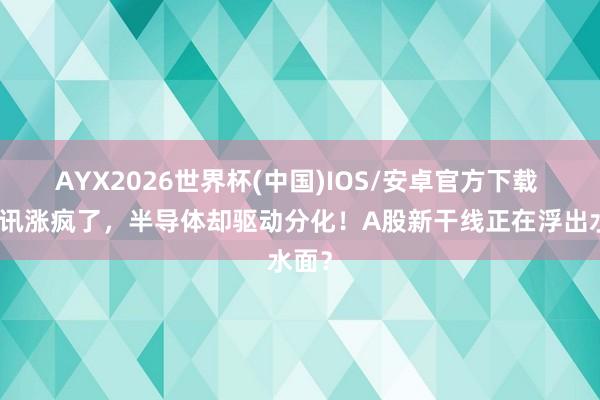 AYX2026世界杯(中国)IOS/安卓官方下载 光通讯涨疯了，半导体却驱动分化！A股新干线正在浮出水面？