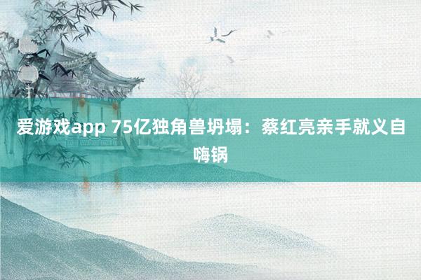 爱游戏app 75亿独角兽坍塌：蔡红亮亲手就义自嗨锅