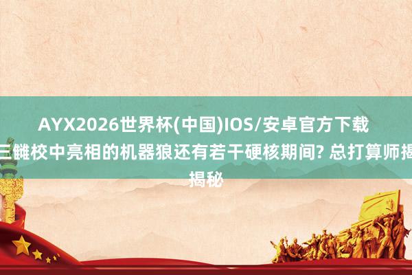 AYX2026世界杯(中国)IOS/安卓官方下载 九三雠校中亮相的机器狼还有若干硬核期间? 总打算师揭秘
