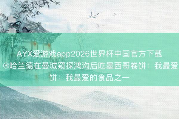 AYX爱游戏app2026世界杯中国官方下载 Taco🌮哈兰德在曼城窥探鸿沟后吃墨西哥卷饼：我最爱的食品之一